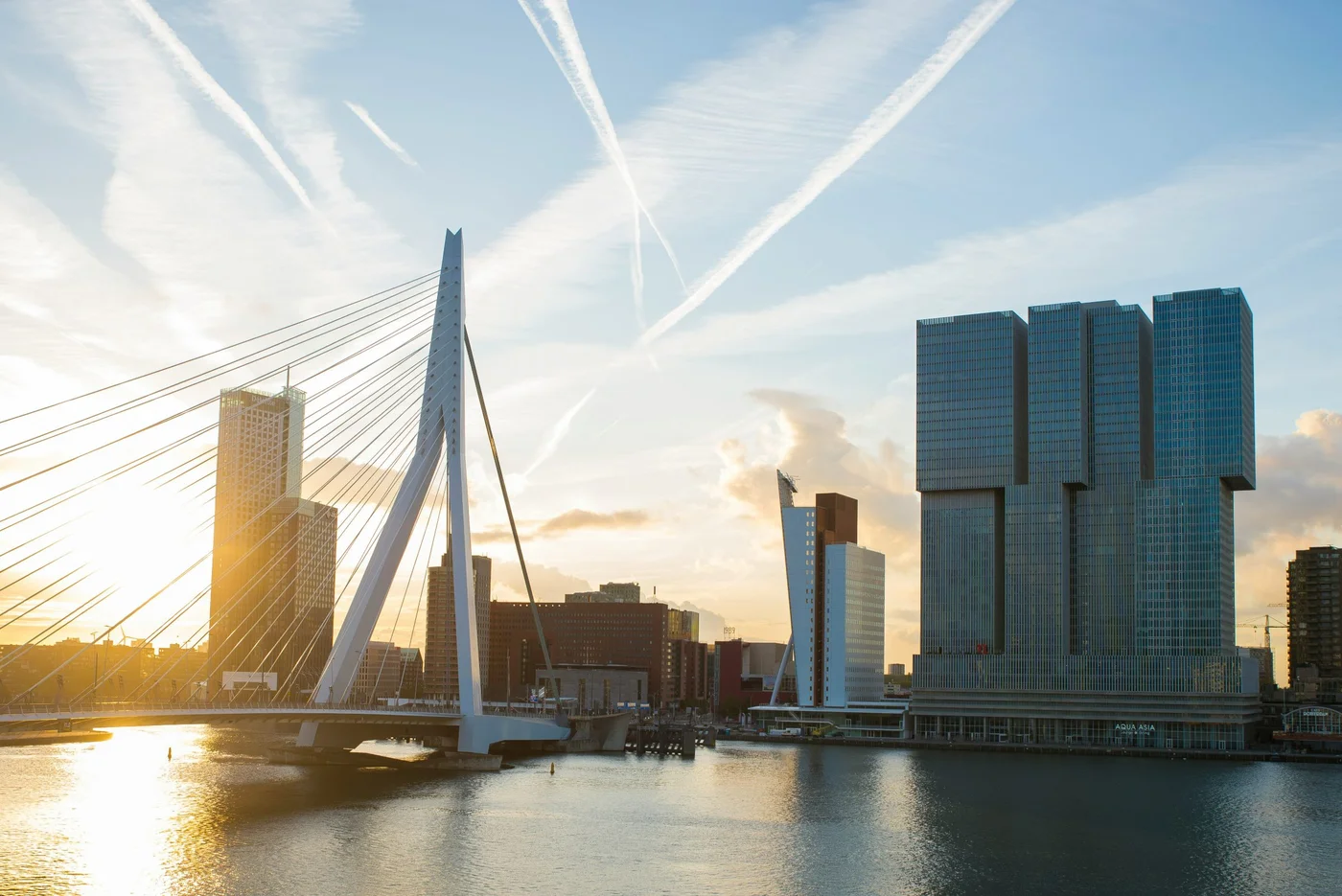 Zuidyard Cruise op de Maas